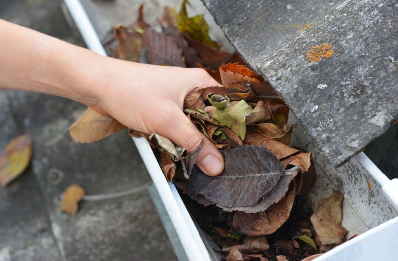 Commercial Gutter Service