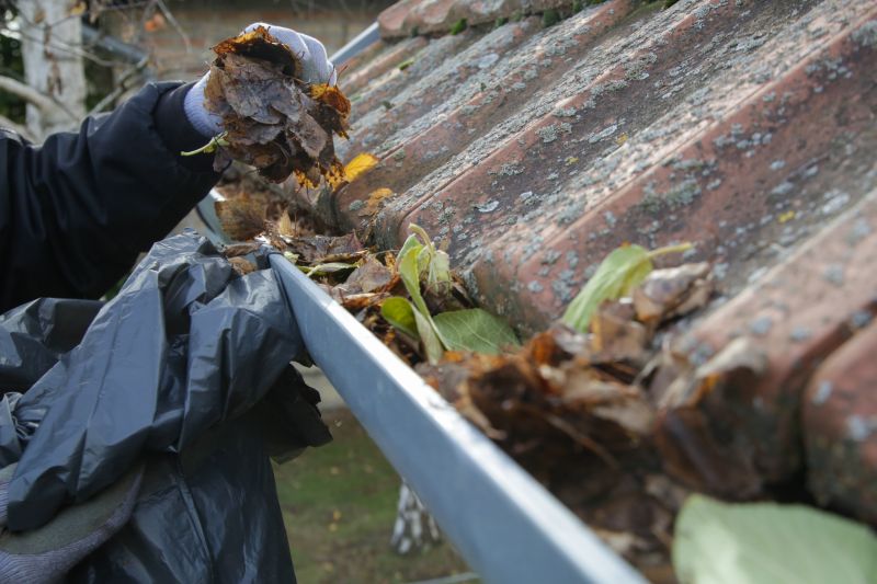 Commercial Gutter Service