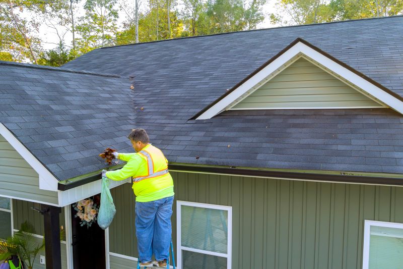 Gutter Service